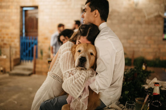 Pets no casamento: tendência aposta em nova face do planejamento familiar