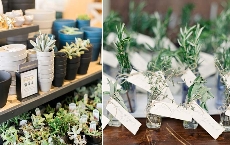 Lembrancinhas de casamento: 20 ideias para oferecer plantinhas para seus convidados